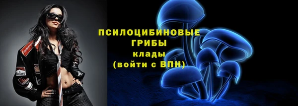PSILOCYBIN Михайлов