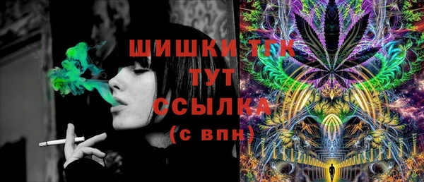 PSILOCYBIN Михайлов