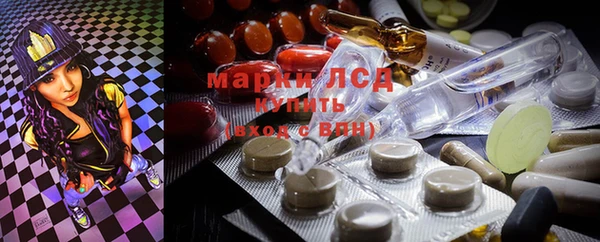 PSILOCYBIN Михайлов