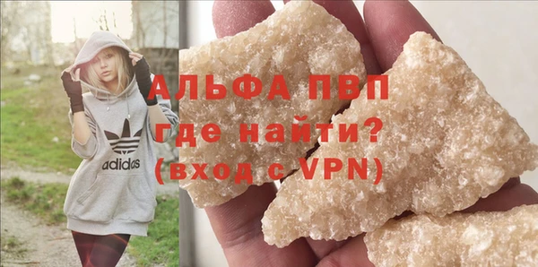 PSILOCYBIN Михайлов