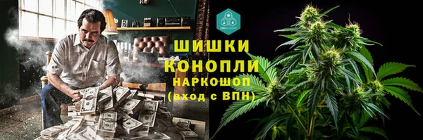 PSILOCYBIN Михайлов