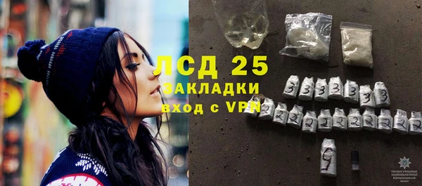 PSILOCYBIN Михайлов